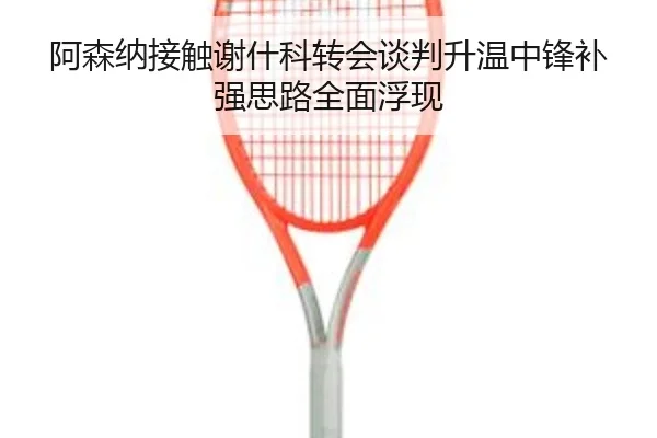 阿森纳接触谢什科转会谈判升温中锋补强思路全面浮现